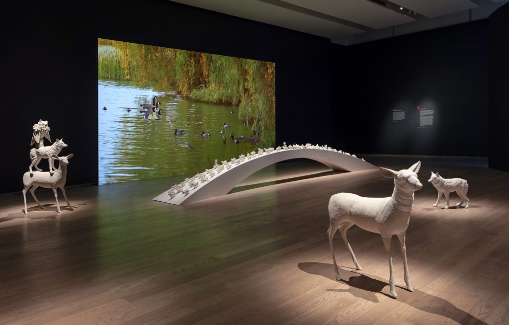 The Migration Stops Here in Janet Macpherson: A Canadian Bestiary at the Gardiner Museum, Toronto
